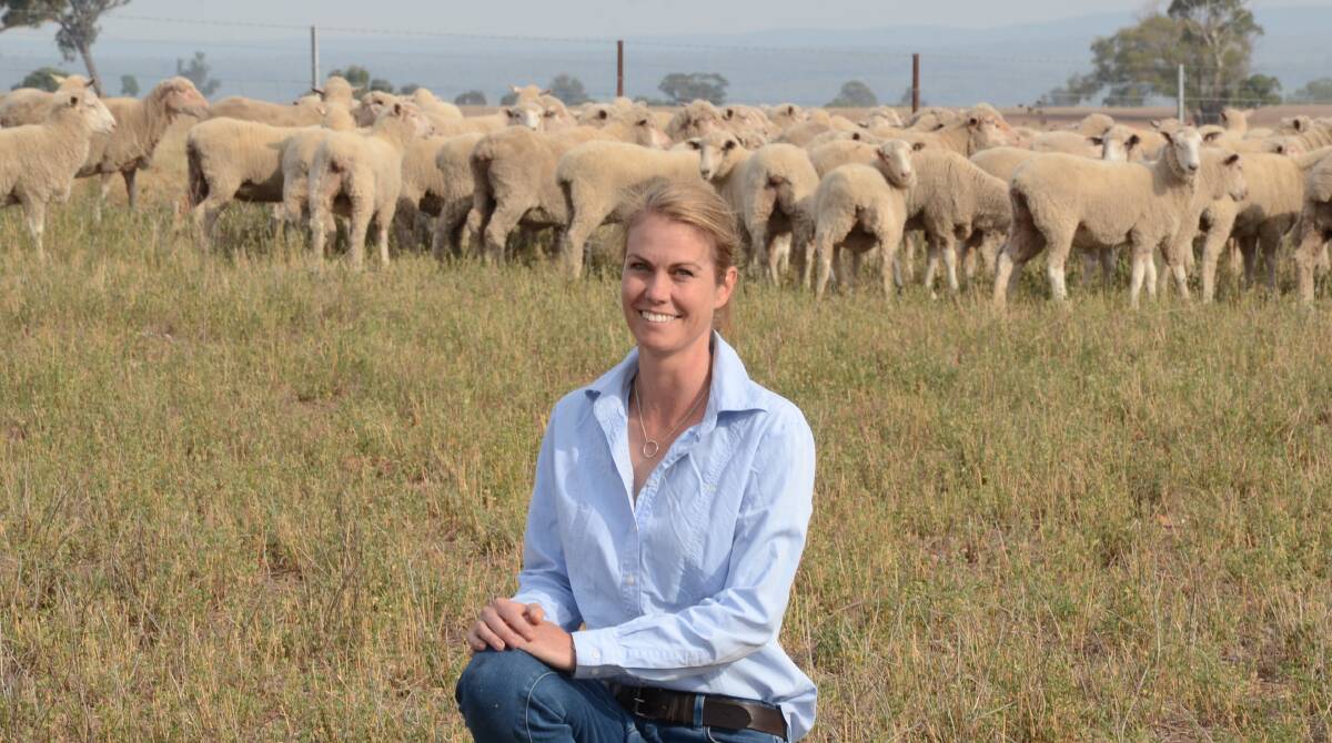Alison Kensit is pleased with the progress of her Dunedoo breeders sale offering of 200 joined Merino ewes and 100 of their first-cross daughters.