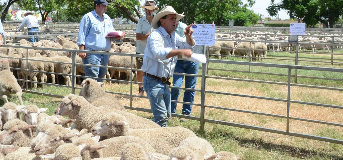 Jason Hartin of Hartin Schute Bell, selling at a Narromine store sale.