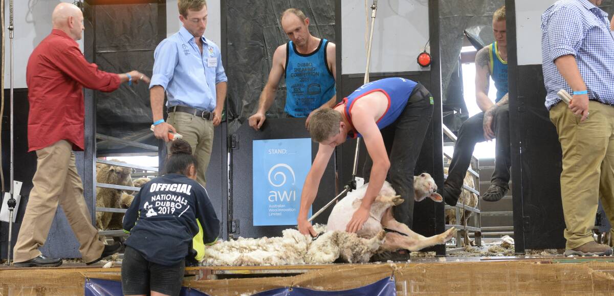 National shearing champion Daniel McIntyre looks over his son, Ryan, where he competes in the national novice shearing final last Saturday and finished fourth.