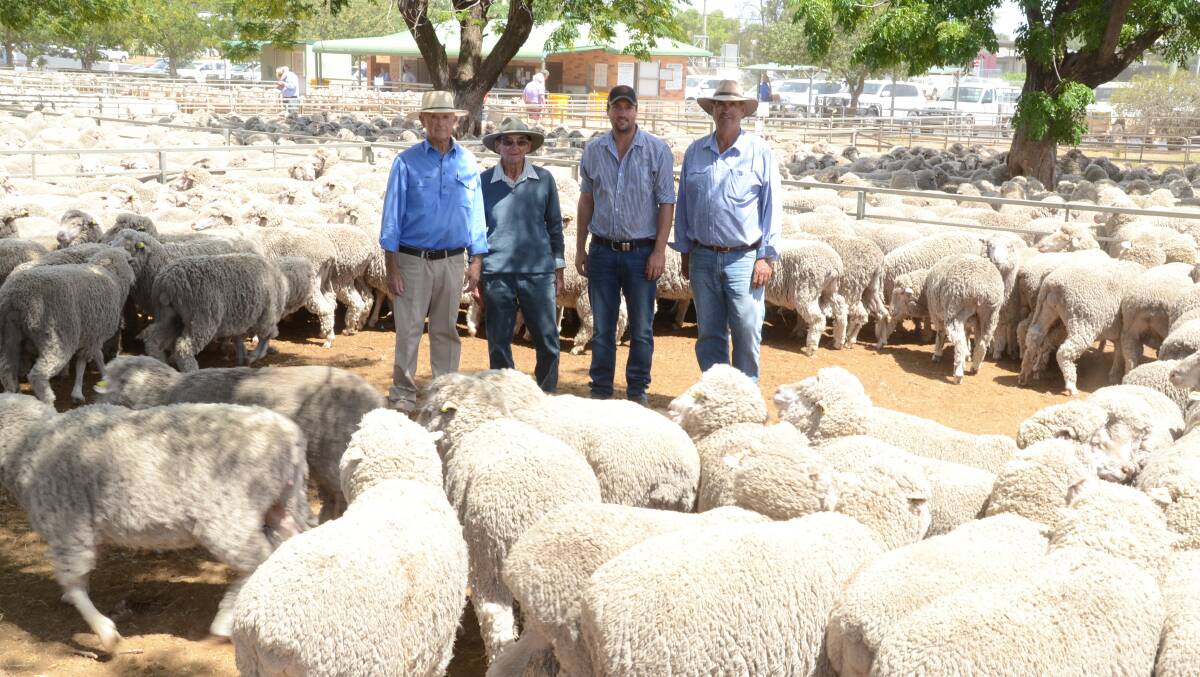 Lyons family agent John Shadwell, PT Lord Dakin, Dubbo, with David, Nick and Michael Lyons whose "Mt Bodangora" Merinos topped at $214.