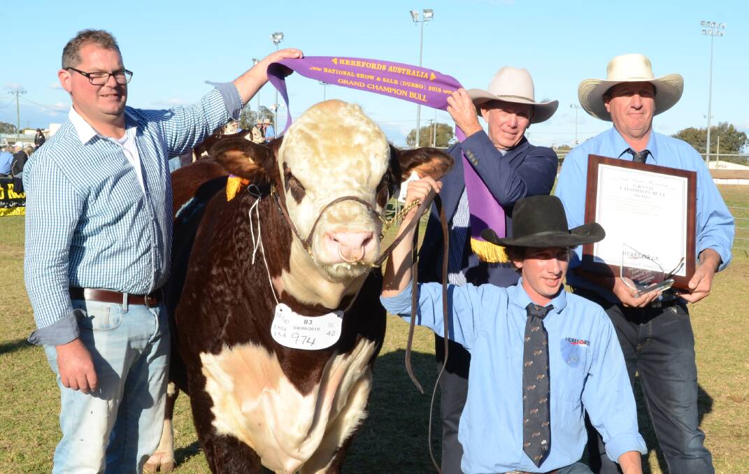 Dubbo National Poll Hereford show and sale committee chairman, Andrew Rayner,Mudgee,with the judge, David Smith, Palgrove Charolias, Ben Lomond,sash grand champion bull, Lachdale Mindblower, shown by first-time exhibitor Lachie Scurr with his father, Greg, Lachdale stud, Texas, Queensland.