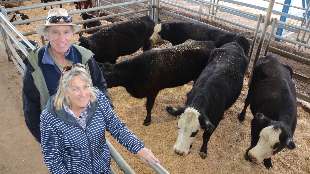 Paul and Sandra Stanbrook, “Glenmore”, Tullamore, with their pen of five black baldy mixed age cows and calves which sold at $1610 a unit at Forbes on Friday.