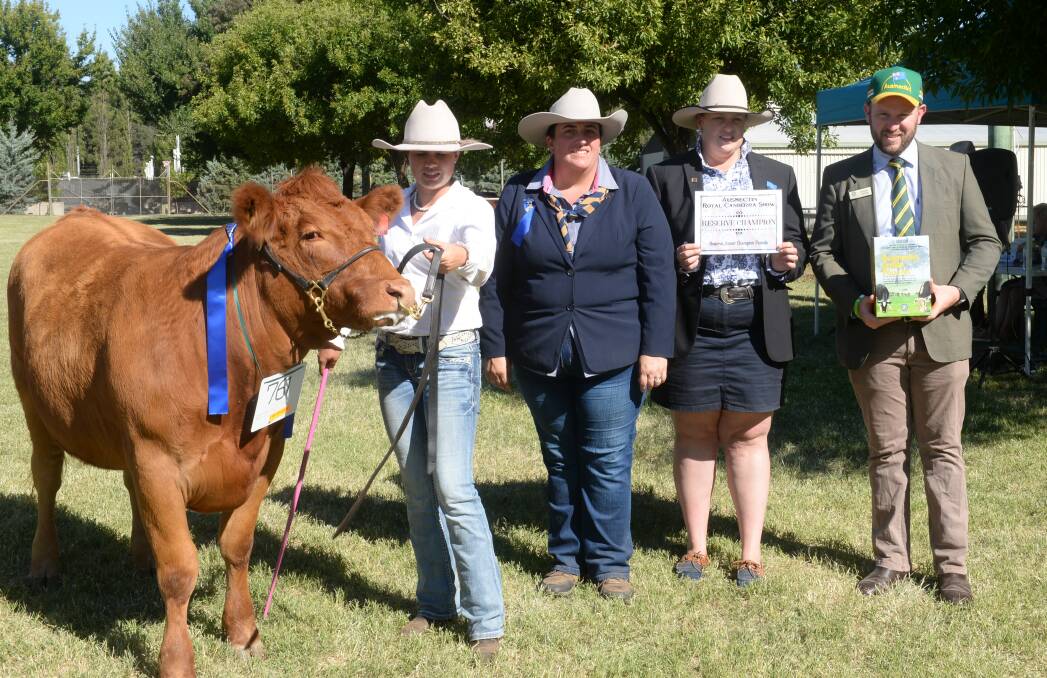 South Devon junior, grand and supreme champion Nicolstoke Queenie shown by Elizabeth Macarthur High School, Narellan and held by Jade McCormack, Year 12, with judge Rene Keith, Roslyn and associate judge Emily Polsen, Yass and Shannon Lawlor of Ausmectin.