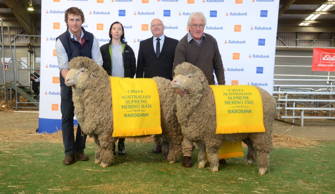 CHAMPIONS: The 2018 Rabobank Australian Supreme ram and ewe awards went to Rock-bank and Wurrook studs, Victoria.