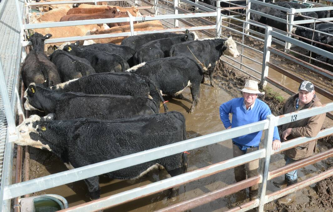 These 11 black baldy heifers PTIC for their first calf sold at $2525 a head for Wayne Schneider, Wollombi, Geurie, (pictured at right) with agent Mark Garland of PT Lord Dakin, Dubbo.