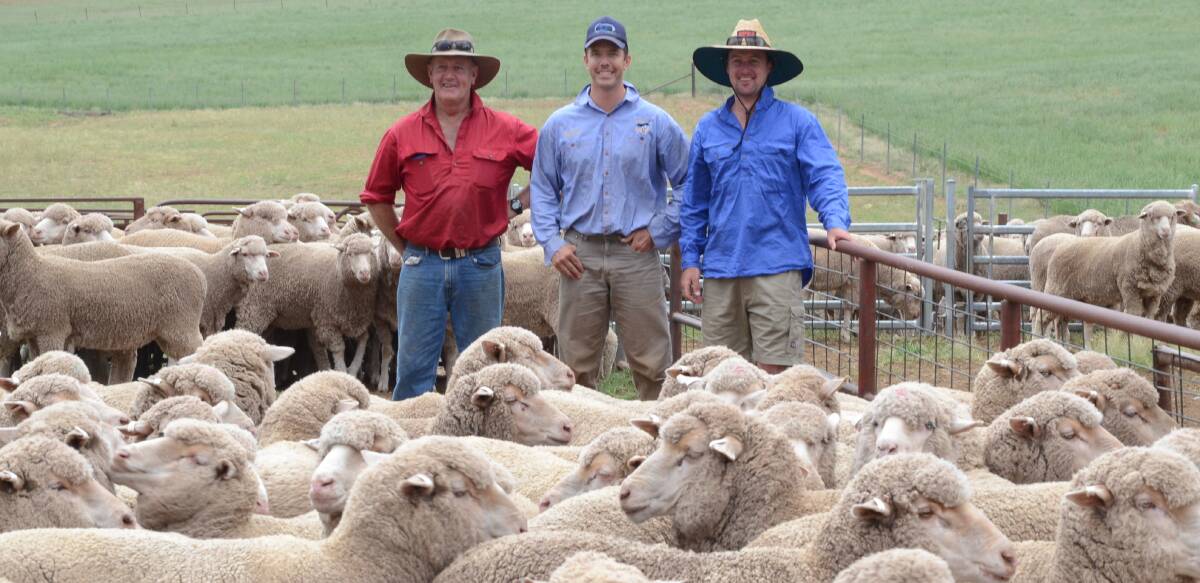 Michael Johnston, Nathan Cayfe and Matthew Johnston with their Milburn/Centreplus blood maiden flock ewes bred at Milburn Creek, Woodstock. This flock was awarded runner-up in the competition and was winner of the Eastern section flocks on the second day.