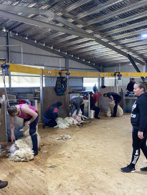 A wool handler waits fr her chance to take a fleece through to it's next stage, the sorting table. Photo from AWI.