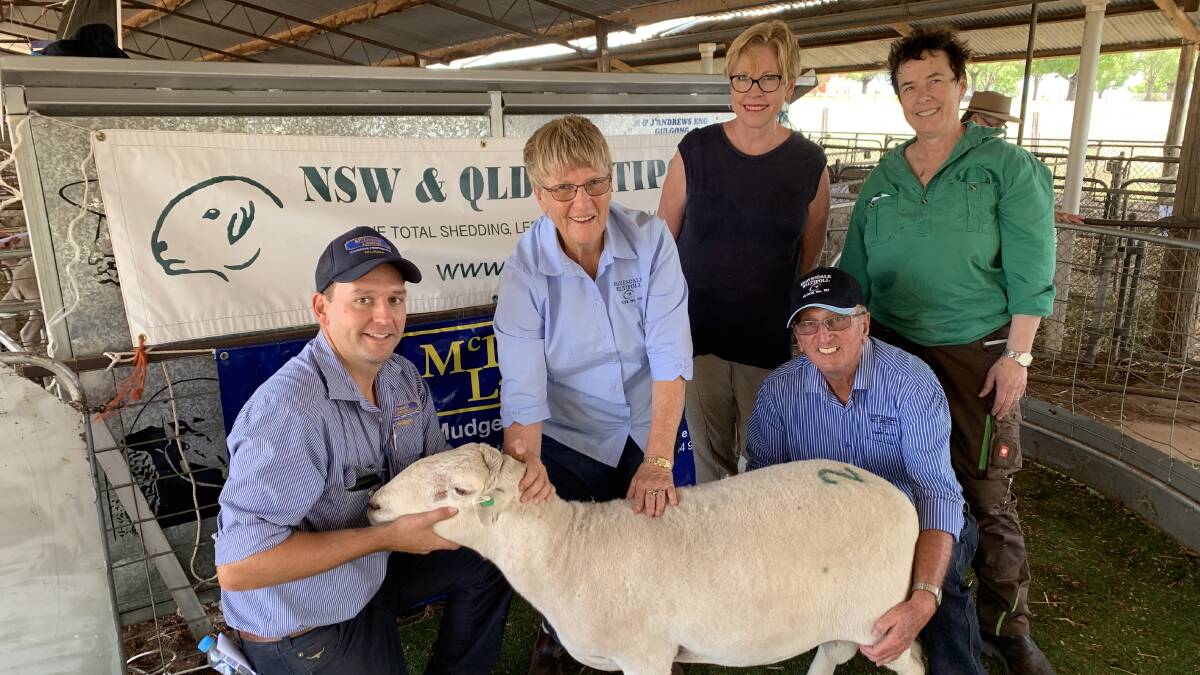 The $1200 top-priced ram held by Andy Carter, McDonald Lawson, Mudgee, with breeders Loris Denyer and Ian Hopwood, Reavesdale stud, Murringo, and buyers Victoria Myerscough and Ann Wunsch, Frog Rock stud, Ithaca, Frog Rock. Photo by Bill Lawson.