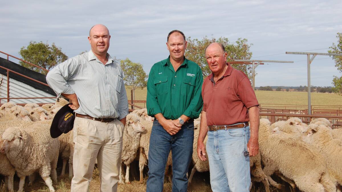 PARKES WINNERS: Richard, Geoff and Colin Rice, Cookamidgera, with their "Hillview" ewes of Overland blood classed by Ian Lovell which won the day from eight other flocks.