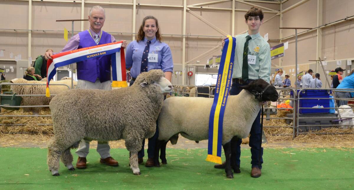 Gavin Wall, Ringwood East, Vic, sashes the champion ram, held by Bridget Pate, Lithgow High School. Jake Dow holds reserve, exhibited by Peel High School.