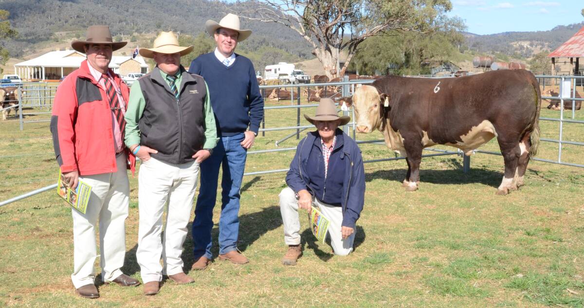 Brian Kennedy, Elders Tamworth; John Settree, Landmark, Dubbo; Paul Dooley, guest auctioneer, Tamworth, and Jim Gunn with Sevenbardot King Kong L142 bought by Raddon, Dian and Bruce Reynolds, Fullerton stud, Crookwell, for equal top price of $16,000.