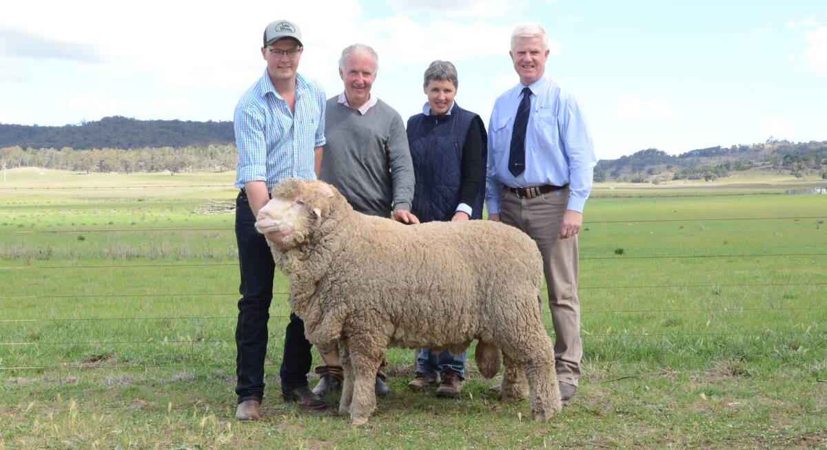 The $3000 Bocoble sale-topper held by Hayden Cox, Bocoble stud, with buyers Geoff and Julie Brown, Parkes, and auctioneer, John Croake, AWN, Tamworth. The Browns like poll sheep, but couldn't resist the structure and wool qualities of this horned ram.