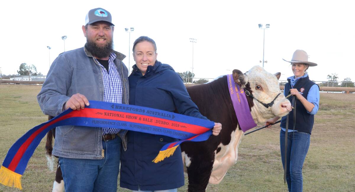 Tom Nixon and Christina Gilritchie, Devon Court stud, Drillham, Qld, paid $14,000 intermediate and grand champion, Rayleigh Nullabor, held by Sarah Holcombe.