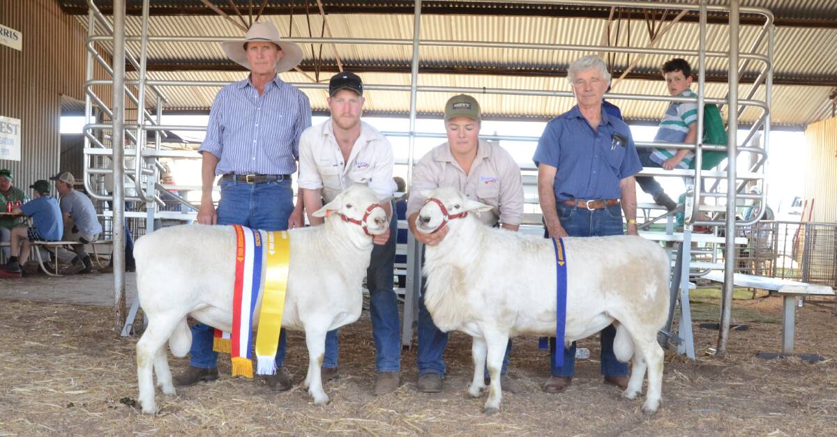 Two rams from Baringa stud, Oberon, sold at $4000 equal top price. Left is senior and grand champion selling to Gavin Kelly, Kelly's Run, Crooked Corner between Bigga and Binda, held by Lochie Gilmore, and right Reece Webster holds the first-prize ram born in 2017, bought by Rod Donnell, Beeamma, Western Flat below Bordertown, SA.