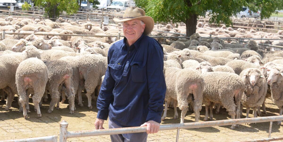 Darren Clarke, Greenlands, Barmedman, with his best presented pen of Merino ewes later selling for $290 a head selling to a Wagga Wagga region restocker.