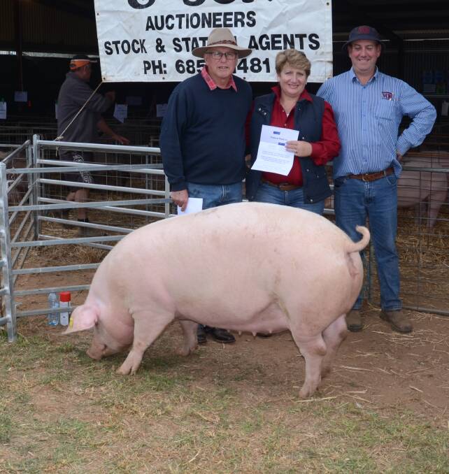 Graeme and Sue Baxter, "Craigeburn", Condobolin, and agent, Murray Reid, V C Reid and Son, Forbes, with their $1925 top-priced gilt, a mated Large White offered by the Blenkiron family, Gumshire stud, Keyneton, SA.