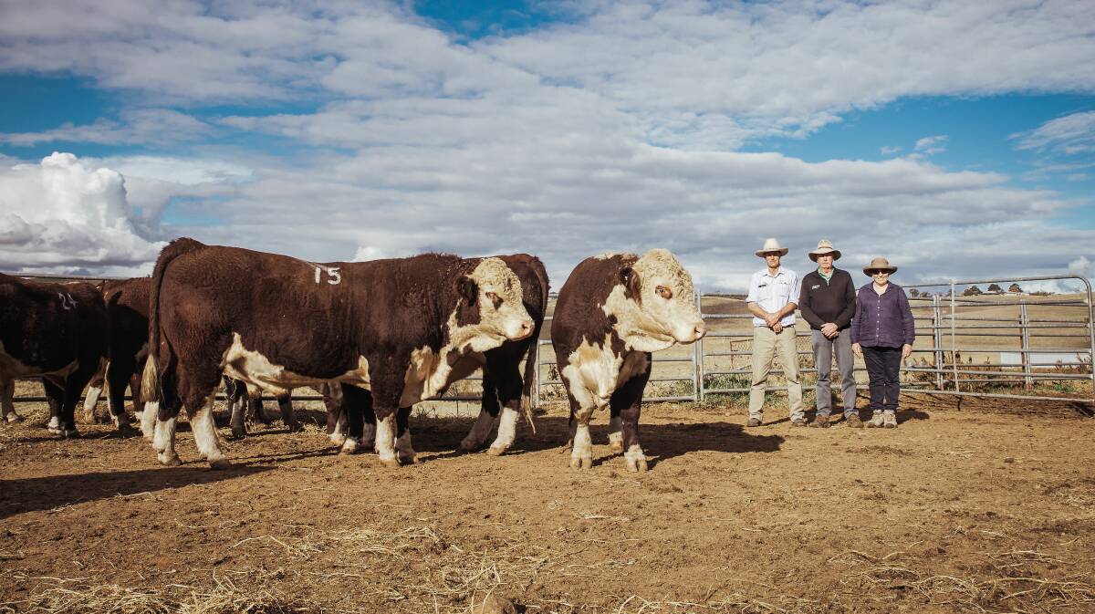 Michael and Cheryl Rutherford with Nutrien's Bill Gilbert, Bathurst, and sale-topper bulls after the Stanford Poll Hereford autumn bull and female sale, Bathurst.