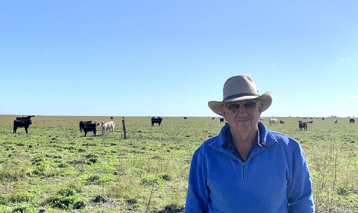 Kevin Keech with heifers at Narran Lake, Walgett, where the herd is rebuilding to 3000 breeders. Photo: Kim Keech