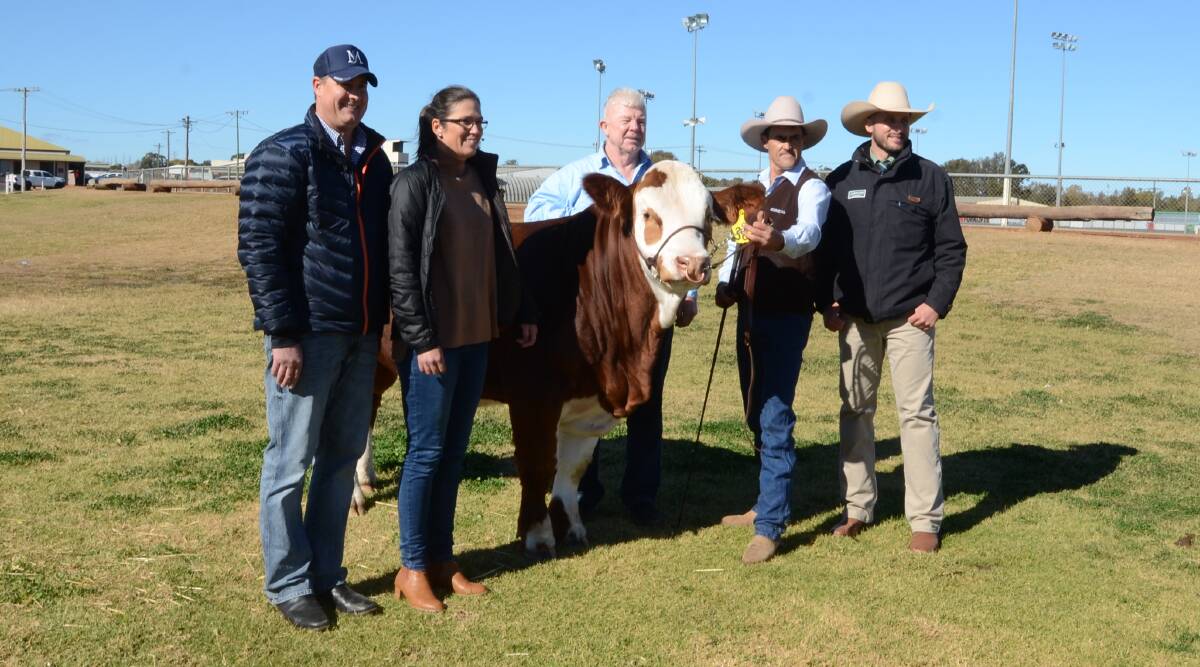 Tom and Lizzy Baker, Woonallee Simmentals, Furner, SA, paid $40,000 top price for the reserve junior champ[ion Simmental bull, Mt Ararat Phoenix, bred by John Leek, Mt Ararat stud, Nar Nar Goon, Vic, and held by Mark Alberni, with Landmarks Joel Fleming, Tamworth.