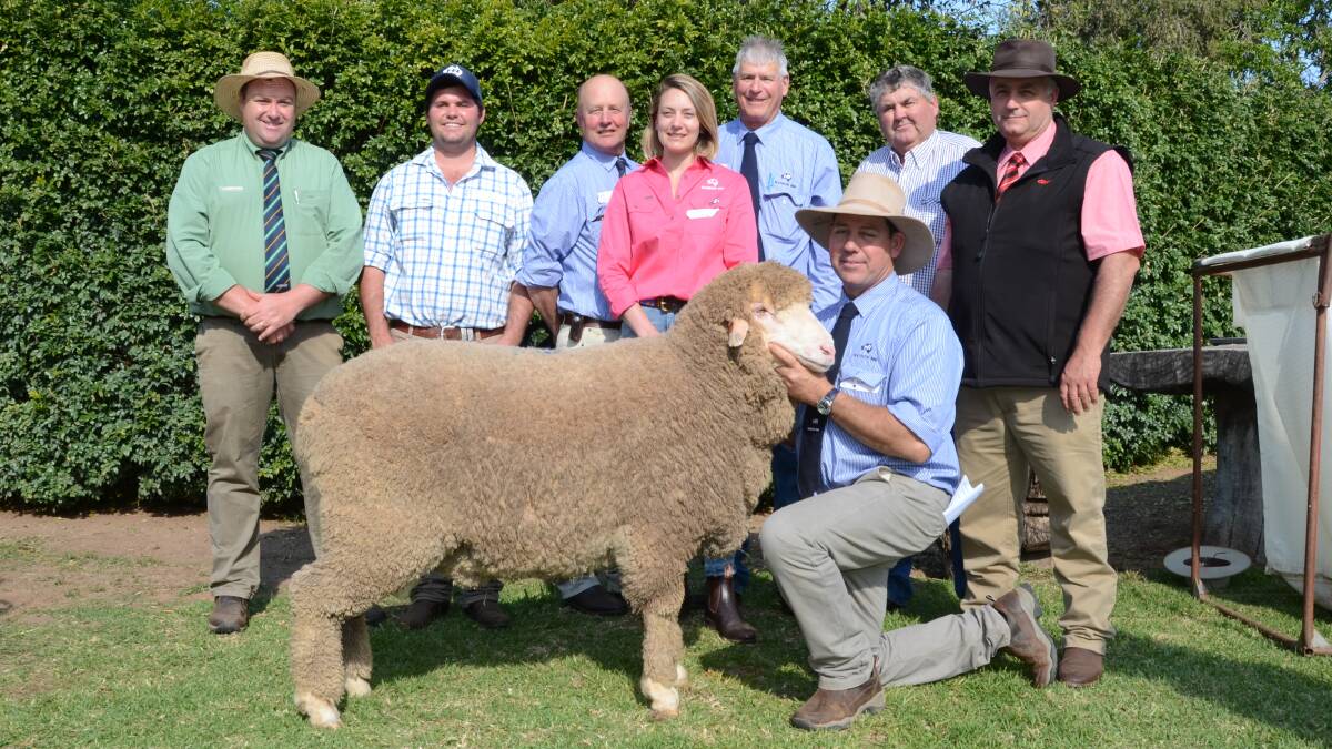 The $6000 top Poll Merino ram with Brad Wilson; Alstair Wilson; George and Olivier Falkiner, Andy McLeod, buyer Doug Wilson, Scott Thrift and Andy MacLean.