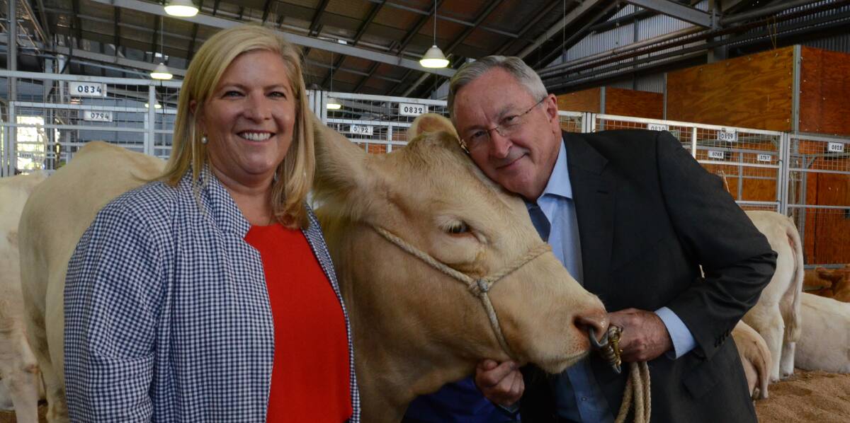 Health Minister Brad Hazzard, joined by Bronnie Taylor, Parliamentary Secretary to the Deputy Premier gets close to Charolais classwinner Little Valley My Angelique from Mooral Creek west of Kempsey at Sydney Royal Show.