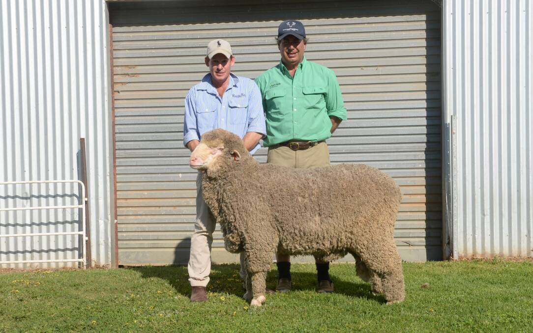 Matthew Coddington holds the $12,000 top-priced Poll Merino ram with buyer Damian Meaburn, who purchased the ram for the Phillips family's Yarrawonga stud, Harden.