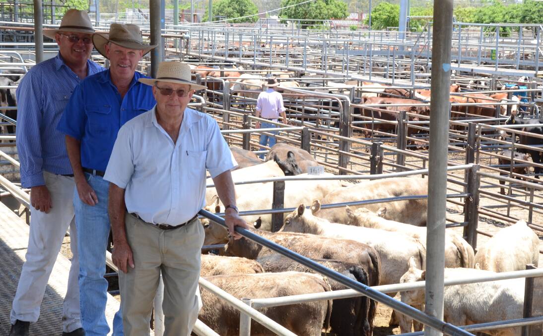 Agent Graham Anderson, Peter Milling and Company, Dubbo, with Glen Carter, Bodangora, look over Murrey Grey cows and calves bred by Bruce Olsen, "Inverness", Wellngton. Among them eight first calver units topped at $1990.