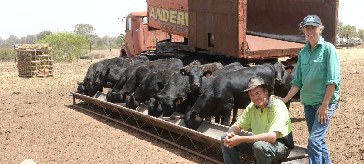 Alan and Linda Clarke have brought yard weaning forward by three months as the dry continues to grip at Macoma, West Wyalong.