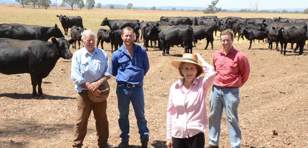 Anna Green with husband Richard, and sons, David and George among her Angus herd at Ollieview, Parkes.