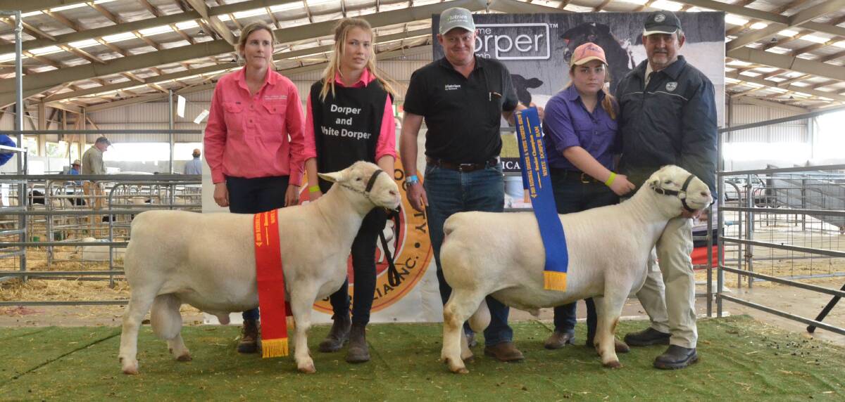 Senior champion White Dorper ram was shown by Belowrie stud, Dubbo. Moozie van Niekerk and Andrea Vagg, African stud, Moama, hold their reserve champion while John Settree, Nutrien Livestock, Dubbo presents ribbons and Maddi Hall holds the Belowire champion with judge Werner Ferreira, Superior Dorpers, Albury.