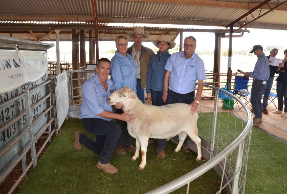 Selling agent Bill Lawson of McDonald Lawson, Mudgee, holds the $900 top-priced ram of the sale with co-vendor Loris Denyer, buyers Paul and Pennie Vary, Tipperina, Barraba, and co-vendor Ian Hopwood, Reavesdale stud, Murringo.