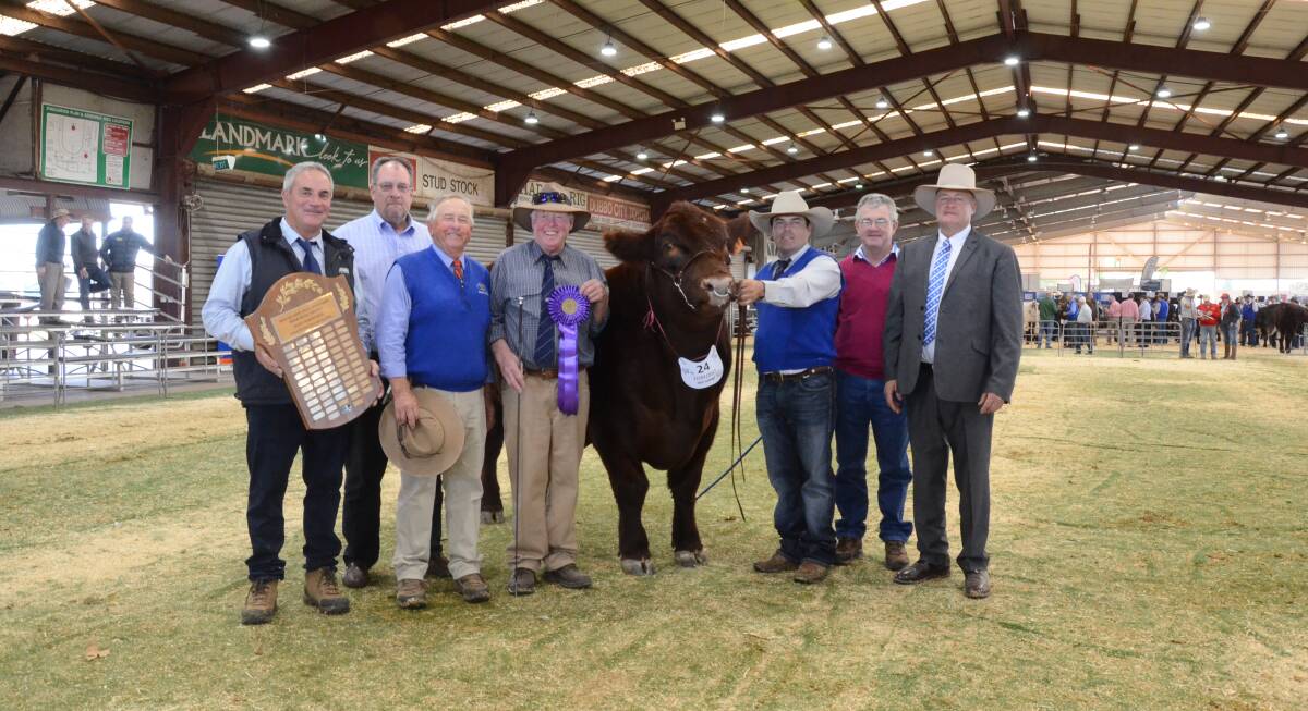 Macquarie Williams Trophy for grand champion, Sprys Extra Special shown by David Spence and Gerald Spry, Ashley Morris holder, judge, Peter Falls, Malton, Finley.