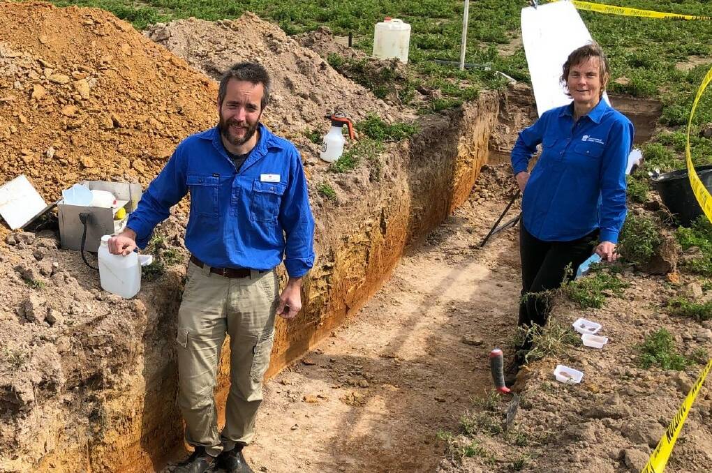 Jason Condon and Helen Burns check pH after lime application in a soil profile. Insufficient mixing of lime into the soil profile is seeing an elevated pH on the top 0-5cm layer but a continuation of acidic problems in the 5 to 15cm soil band.