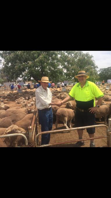 Bill Buttenshaw, Laurel Park, West Wyalong, is congratulated by Peter Staniforth, AGnVET, West Wyalong, for the best presented pen, 200 June/July 2015 drop Merino ewes later selling at $194 each to the Ford family, West Wyalong.