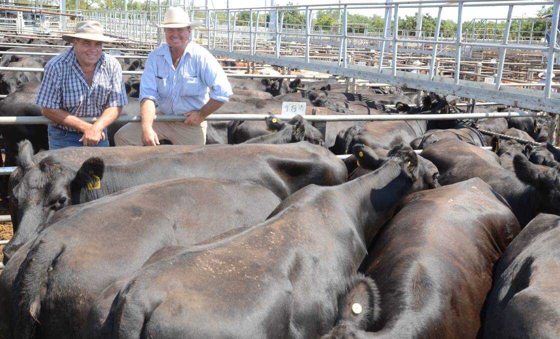 Chris Goodman, “Glenview”, Tooraweenah, and Mark Garland of P.T. Lord, Dakin, Dubbo, with his $1340 a head equal top-priced PTIC Angus cows.