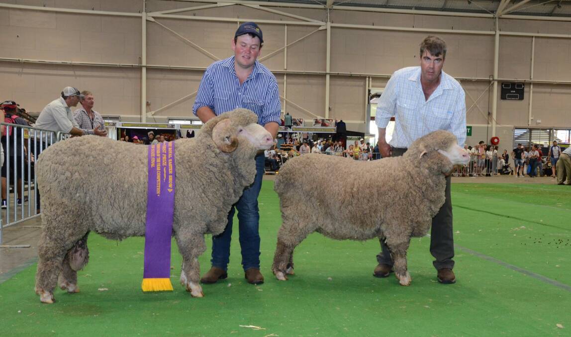 Langdene stud, Dunedoo, won national Merino pair. Ben Simmons is holding the ram and Garry Cox the ewe.