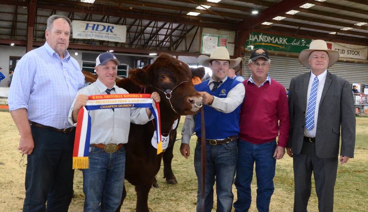 Grand champion, Sprys Extra Special, with co-owner David Spencer, NSW Shorthorns president Steve Carter, Ash Morris, co-owner Gerald Spry and judge Peter Falls.