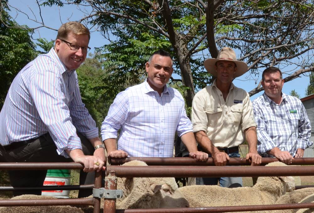 Troy Grant, John Barilaro, Hugh Taylor and Dugald Saunders inspect some Boxleigh Park Merino ewes.