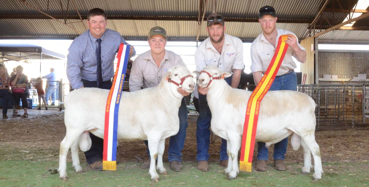 Baringa stud, Oberon, exhibited the senior and reserve champion rams. Judge, Matthew Sherwood, Templemore, Muringo, sashes the senior champion held by Reece Webster while Brayden Gilmore holds the reserve sashed by Lochie Gilmore of Baringa stud.