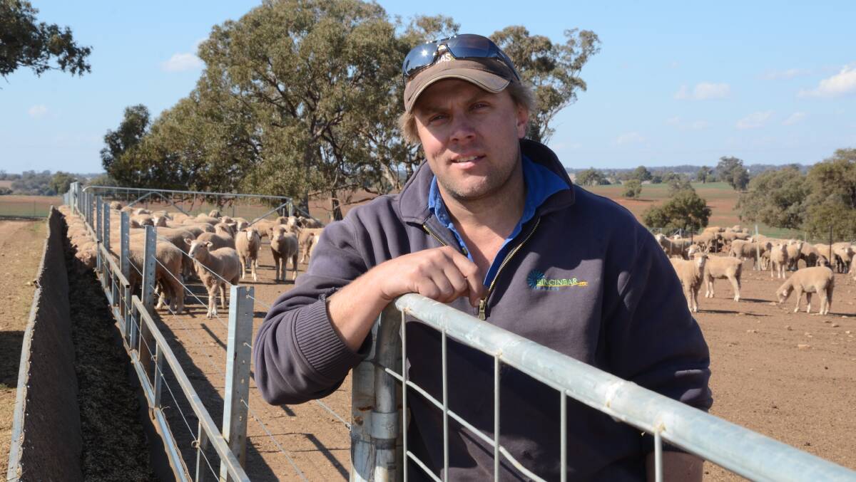 Nathan Simpson with lambs currently fattening in the Binginbar feedlot.
