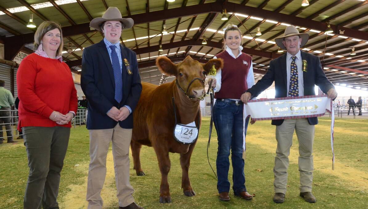Associate judge Angus Llewellyn, Jillangus Red Angus stud, Willalooka, South Australia, with junior and grand Red Angus female, Bolton Girls New York held by Aimme Bolton with judge, Ted Laurie, Knowla Livestock, Moppy.