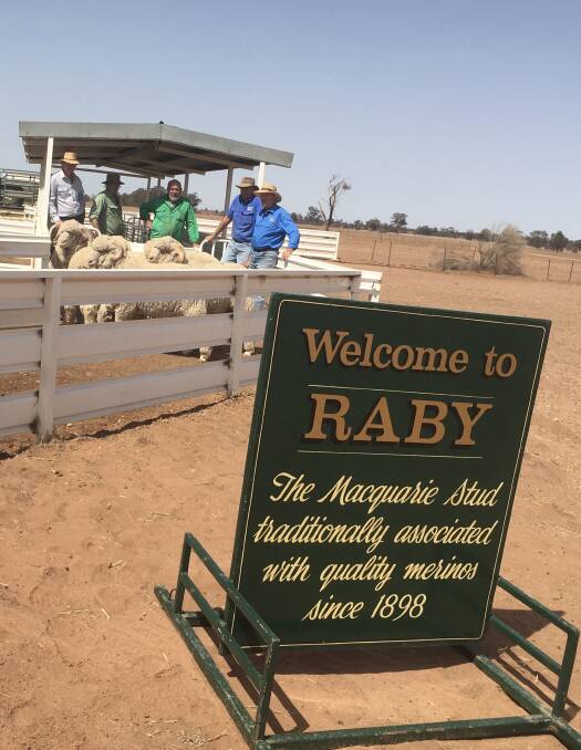 Long-time Raby ram clients snapped during the stud's selection day at Balladoran.