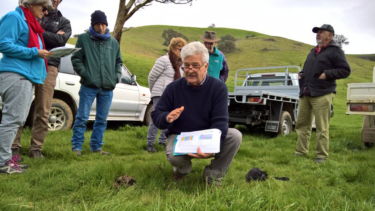 Grazing management trainer, Graeme Hand gets close to his subject at a "walk and talk" session at Jingellic.