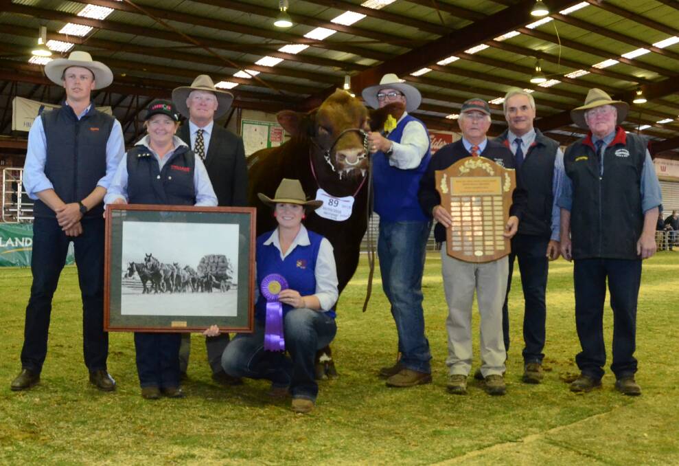 Grand champion, Nagol Park XLT M104 (P), is presented with awards from left Kyle McDonald, Zoetis, Dubbo, with The Land Dubbo Livestock Sales’ Lisa Duce, and the judge, Stephen Peake, Bowen stud, Barraba, who present The Land trophy to exhibitors Niaomi and Roger Evans, Nagol Park stud, Tamworth, while Kim, (Polldale stud) Terry (Terra and Terralea studs) and Howard Williams (Marrington stud), Dubbo,  present the Macquarie Williams Trophy.