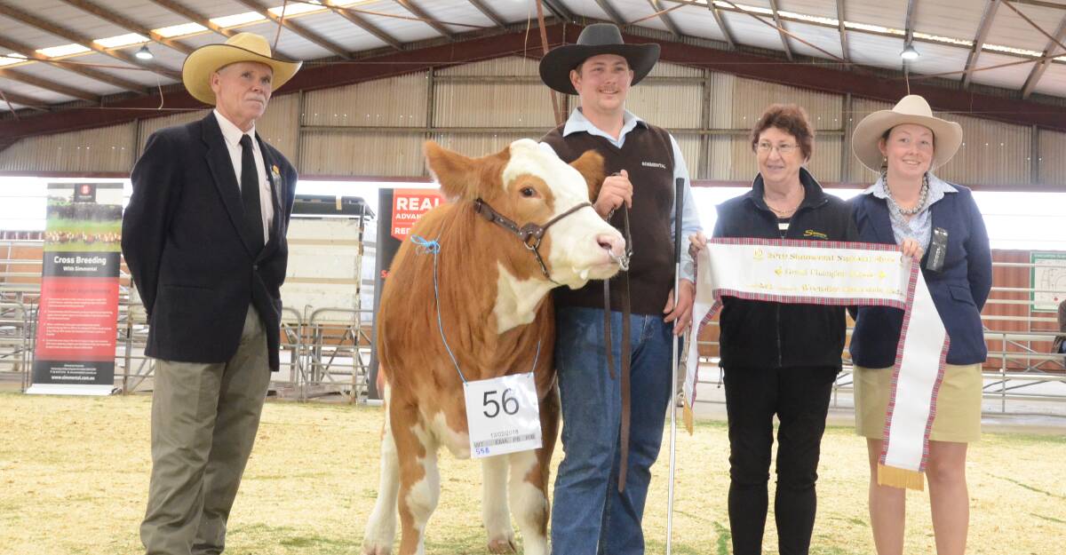 Judge, Robert Hutchinson, Glenrowan, Vic, with junior and grand champion Simmental female Loaderry Poppy, held and exhibited by Luke Adams, Loaderry stud, Londonderry, sashed by Elaine Almond, Swinburnie stud, Wagga Wagga, and associate judge, Chelsea Rayner, Sheffield, Tas.
