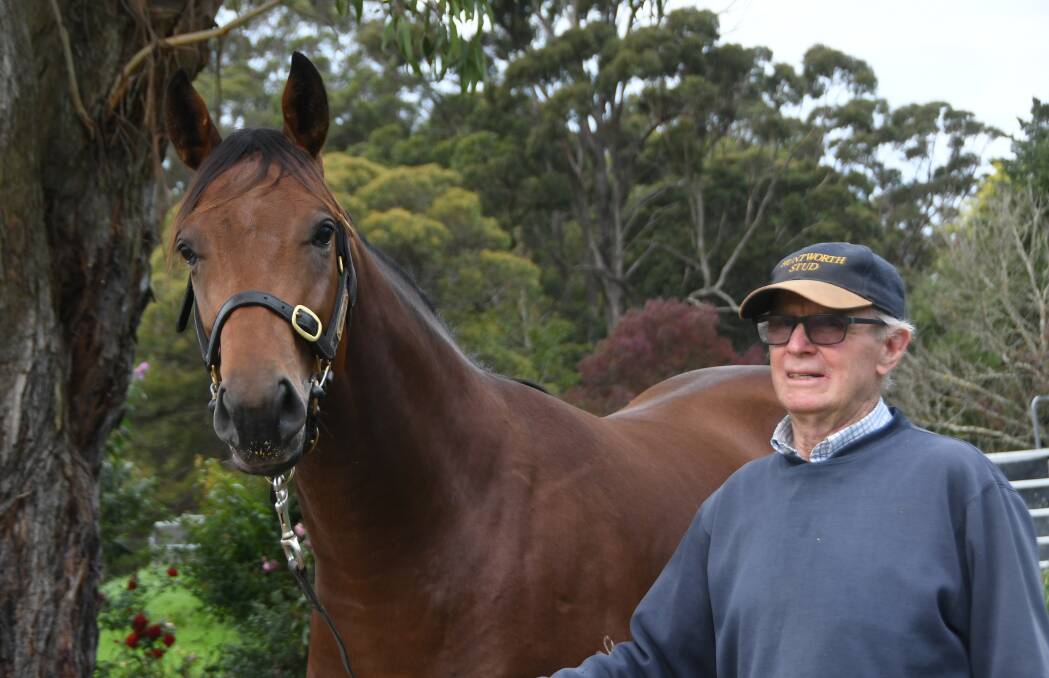 Peter Stewart of Huntworth Stud in the Southern Highlands with his Capitalist colt from Glistening Light which will be offered at the Inglis May Yearling Sale on Sunday May 2. Photo by Virginia Harvey