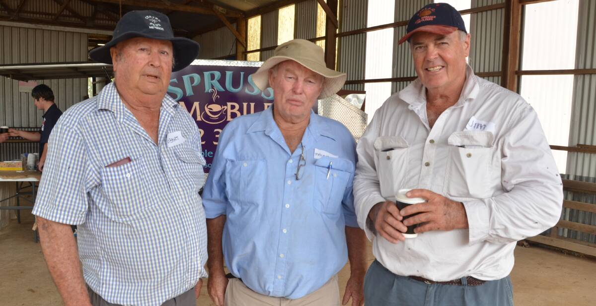 Robert Mortimer, Centre Plus stud, Tullamore, with Mick Day, Bundemar, Trangie and Jim Gordon, Glensloy, Young, at the Macquarie 2020 MLP Field Day.