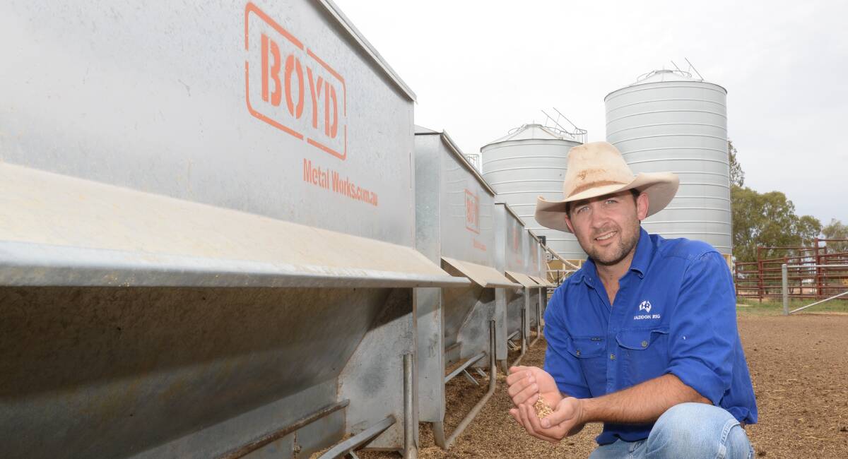 Haddon Rig's Charlie Blomfield checks a handful of feed grain mix from the ration fed out of the fully-automated Boyd lamb self-feeders in the 2000-head lamb feedlot.