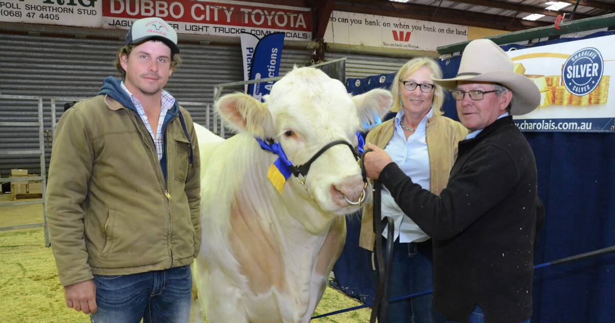 James Pisaturo, Veejay Charolais, Dingo, Qld, with his $12,000 purchase, DSK TGL Meridian M5E, bred and offered by Helen Alexander and Chris Knox of DSK stud, Coonabarabran.