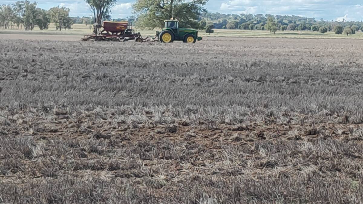 Sowing dual purpose crop 18.2.21. Earlier than normal sowing of dual purpose crops is possible in many years if appropriate climatic conditions occur. Earlier sowing can improve probability of successful reliable winter feed.
